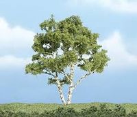 Premium Trees 4In. Birch Tree 1/ - Image 1